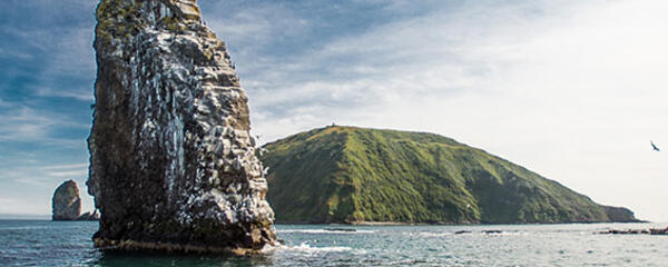 Морская прогулка к острову Старичков