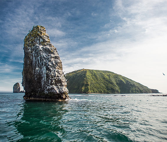 Морская прогулка к острову Старичков