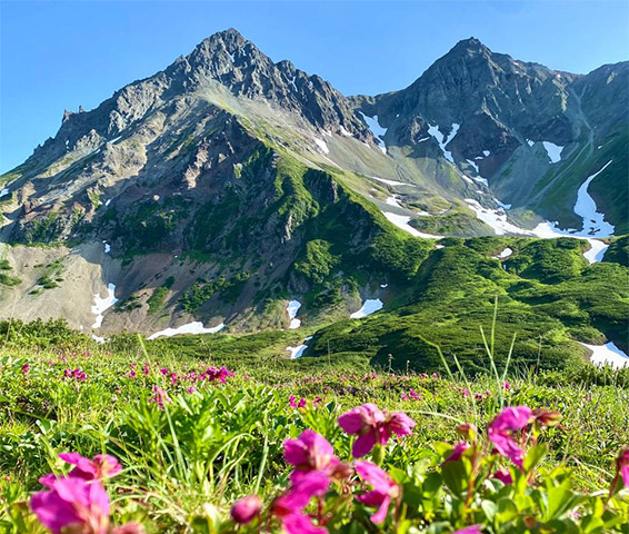 瓦奇卡热测火山脉